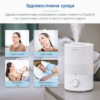Levoit-Dual-150-healthy-1030x1030