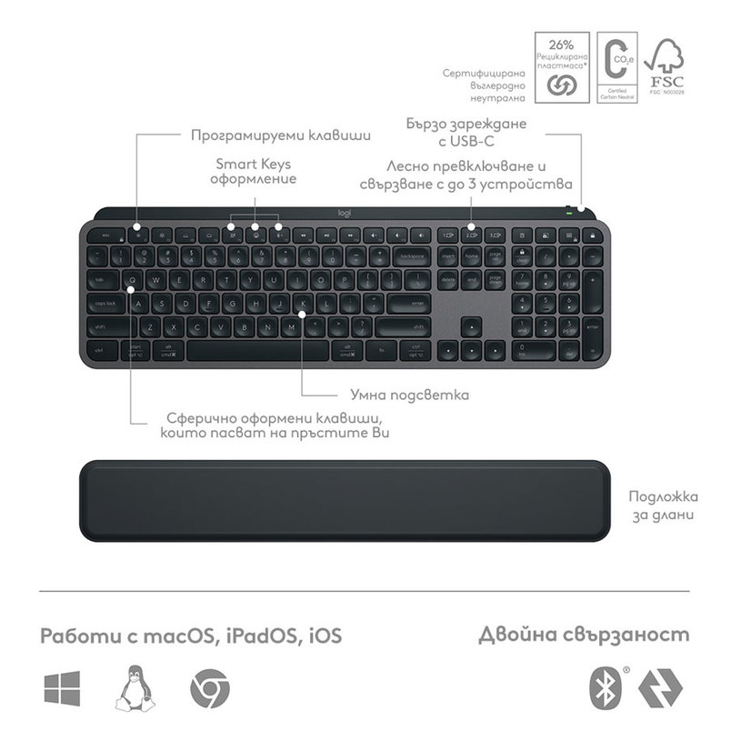 komplekt mishka i klaviatura logitech mx keys s combo usb c (6)